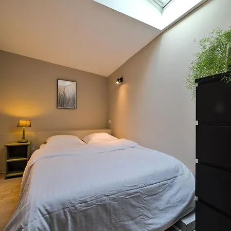 Peniche Mapensee Apartment Metz