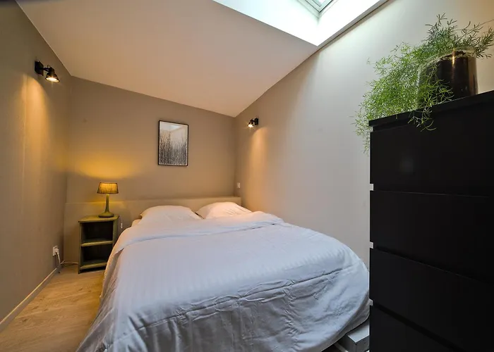 Peniche Mapensee Apartment Metz